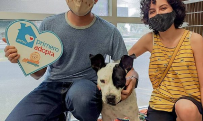 PETCO agudiza su olfato durante la pandemia