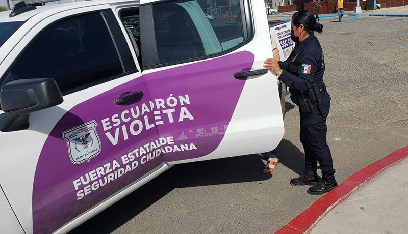 Escuadrón violeta