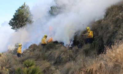 Incendios forestales