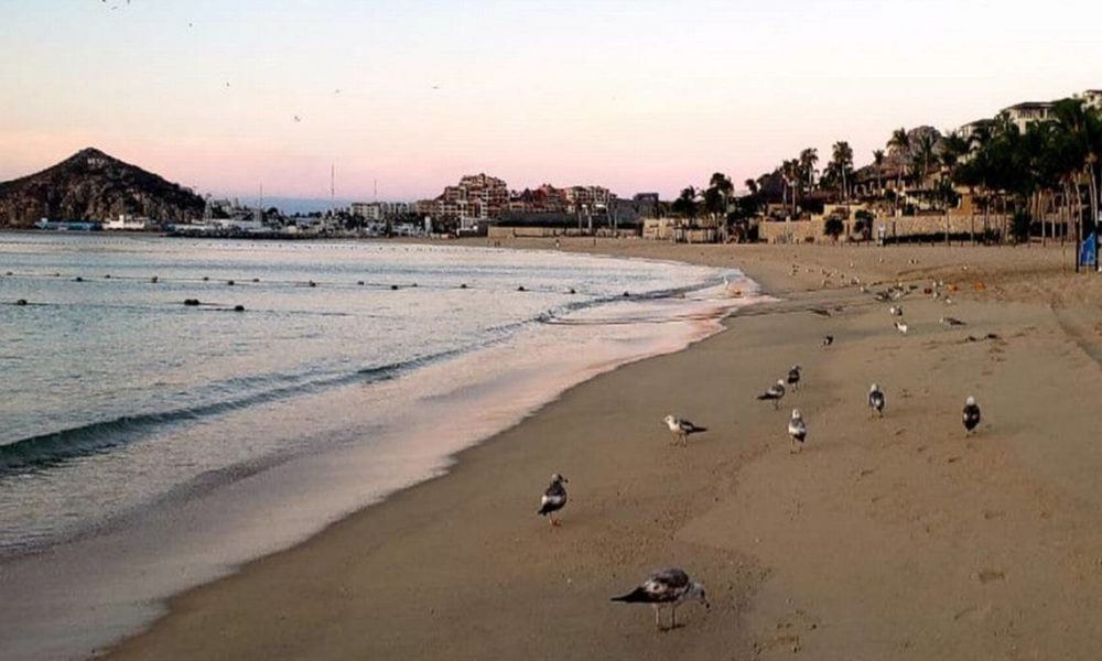 Playas de Los Cabos