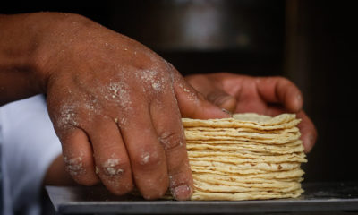 Kilo Tortillas