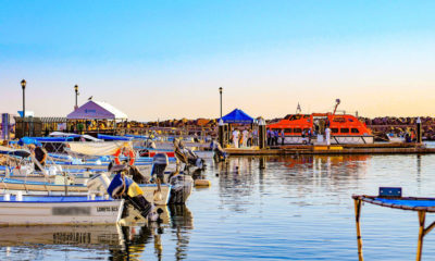 lanchas-loreto-bcs-turistas-llegada-de-turistas-crucero-darsena-de-malecon-pueblo-magico-embarcaciones--990x660