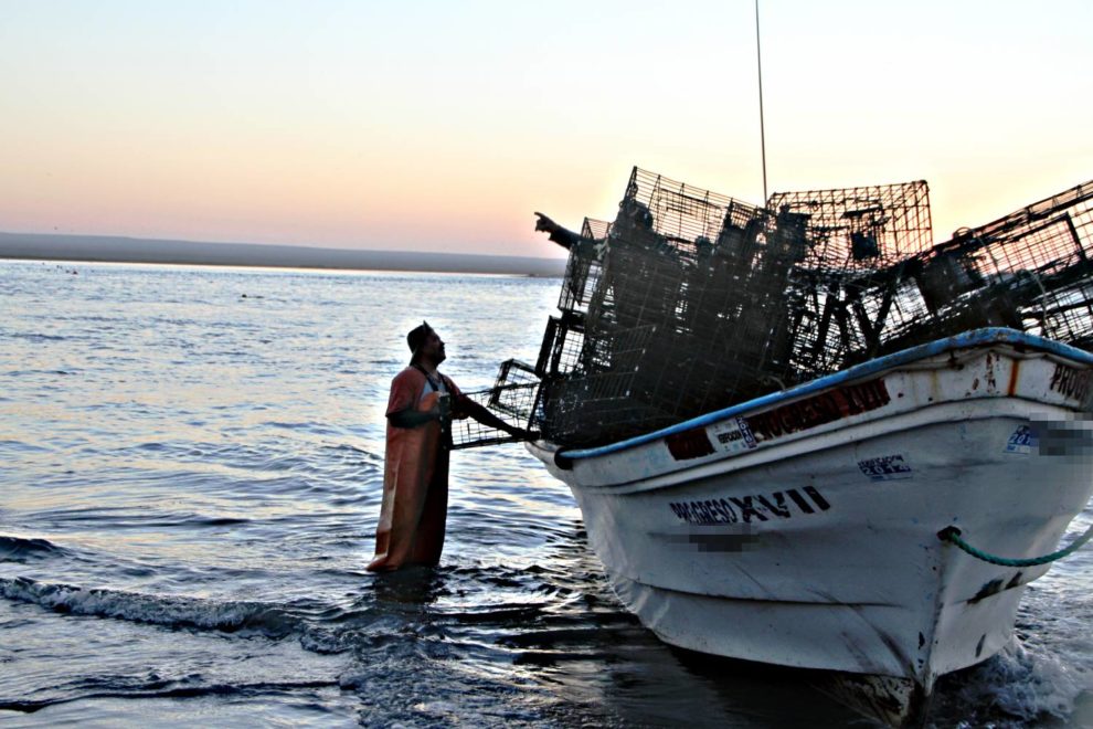 langosta-pescadores-lancha-playa-jaulas-pesca-acuacultura-trampas-990x660