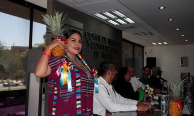 Fiestas a Flor de Piña Guelaguetza