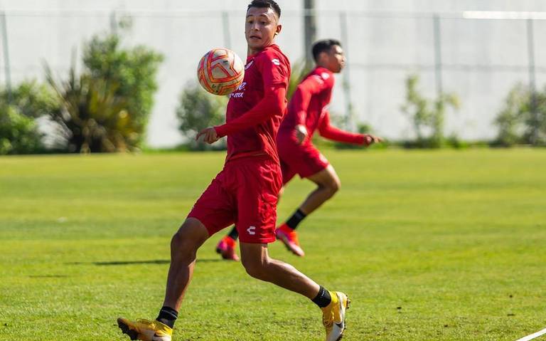 Xolos