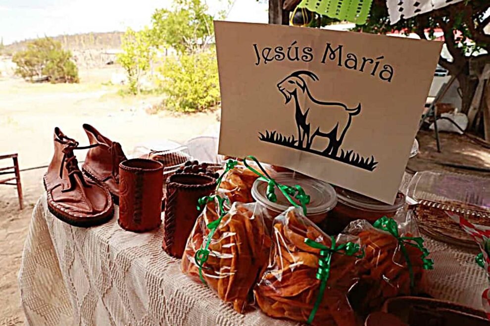 cabrito-cabra-productos-leche-cuero-trabajo-empleo-jesus-maria-mulege-dulces-tipicos-tradicion-productores-990x660