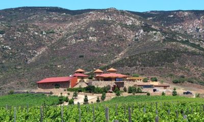 Valle de Guadalupe