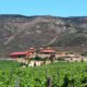 Valle de Guadalupe