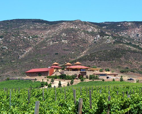 Valle de Guadalupe