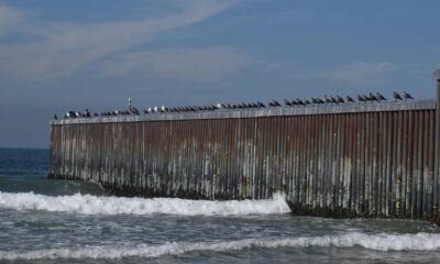 Playas-de-Tijuana-Mural