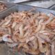 camarones-