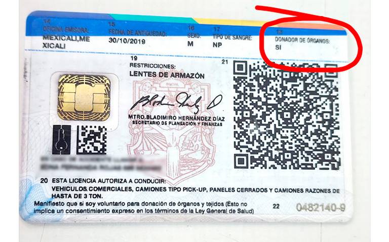 licencia donadores de órganos