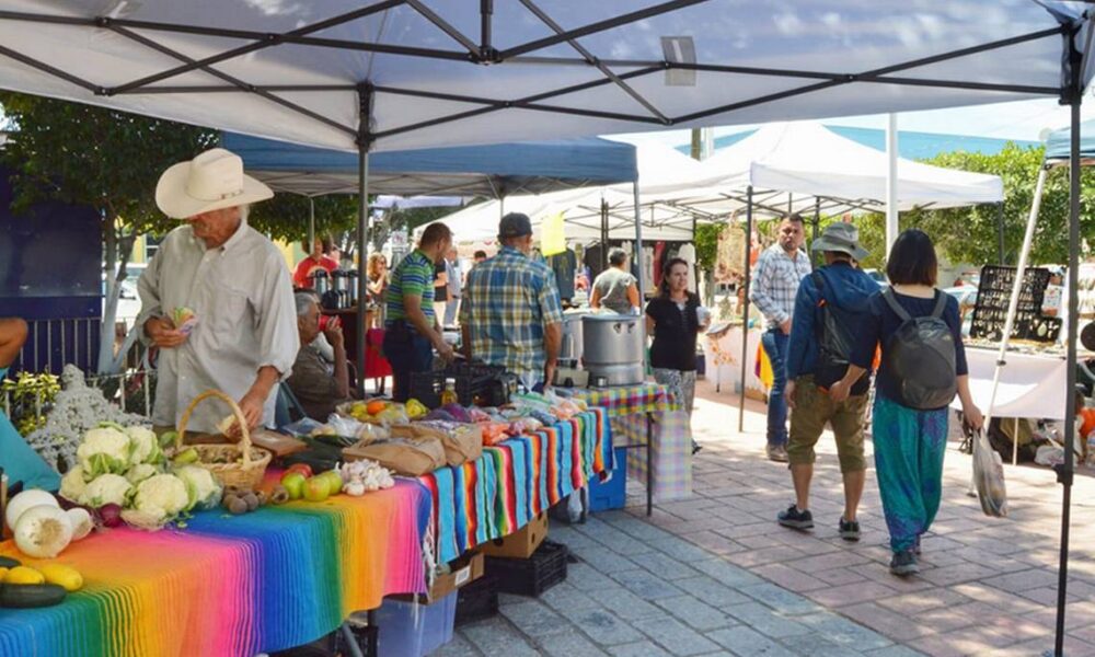 Mercado Orgánico y Artesanal