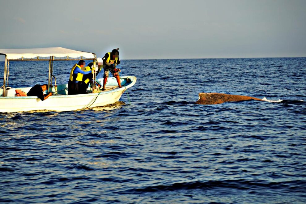 Los Cabos