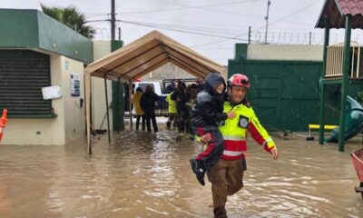 En Baja California operan siete albergues temporales para atender a la población afectada por las precipitaciones pluviales que se han registrado en la región. Se habilitaron cuatro espacios en Tijuana, dos en Mexicali y uno en Playas de Rosarito. El Sistema Estatal del DIF coordina la operación de los refugios temporales, además de poner a disposición el número telefónico de emergencias 911 para solicitar el traslado a estos albergues desde cualquier punto de estos tres municipios. Los refugios habilitados en Tijuana están en Camino Verde, el Santuario del Migrante, Unidad Deportiva Reforma y el Centro de Atención Integral para Familias Migrantes "Mariano Matamoros". En Playas de Rosarito se dispuso de espacios en la Unidad Deportiva "Profesor Andrés Luna Rodríguez". En el caso de Mexicali se dotó de cobijas y despensas al Albergue Peregrino y al Refugio Temporal Bellavista.